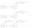 Tonnelle Aluminium Beau Us B2 Pyrrolobenzodiazepines and Conjugates thereof