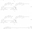 Tonnelle Aluminium Frais Us B2 Pyrrolobenzodiazepines and Conjugates thereof