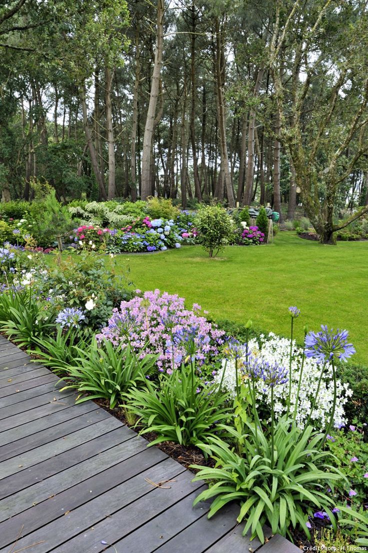 Un Jardin Élégant Un Jardin Breton D Agapanthes Et D Hortensias Bleus