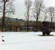 Univers Jardin Beau File Jardin Des Tuileries In Winter Paris France