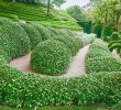 Versaille Jardin Inspirant Jardins D Entretat normandy