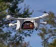 Vert Le Jardin Brest Génial Ups Delivers Prescription Medications to Us Homes by Drone