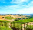 Violation De Domicile Jardin Inspirant Dreamin the Clouds at Daou Winery – Dreampliflyer