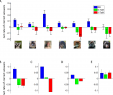 Zoo Du Jardin Des Plantes Charmant Reading Wild Minds A Putational assay Of theory Of Mind