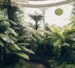 Zoo Du Jardin Des Plantes Frais Inside Clapton Tram — A Plant Filled Warehouse Space