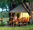 Tente Abri De Jardin Inspirant Duba Expedition Camp Okavango Delta Botswana