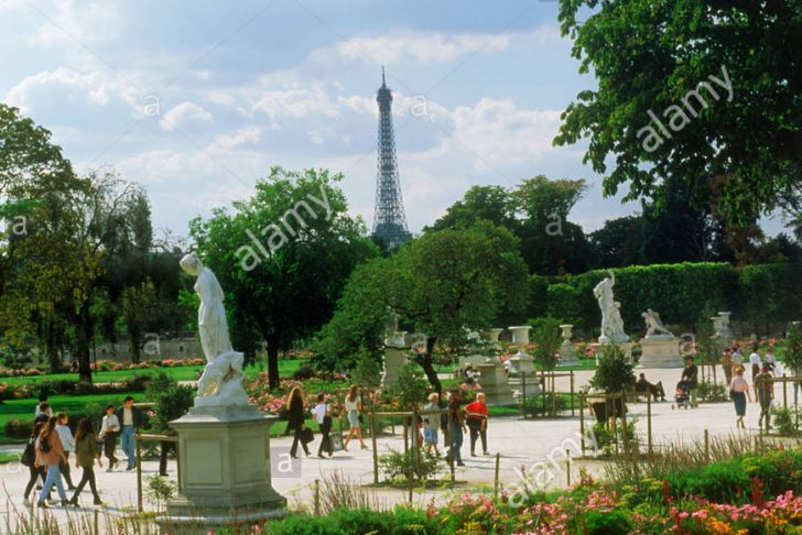 Jardin Du Louvre Élégant Flowers and Statues In the Jardin Des Tuileries Near Palais