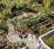 Jardin En Pente solution Génial Fun and Food In Home Grown Ve Able Gardening