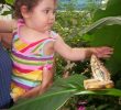 Le Jardin Des Papillons Best Of Promenade Familiale Au Milieu Des Papillons La Dr´me En