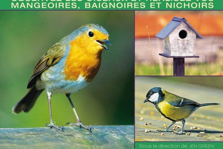 Nourrir Les Oiseaux Du Jardin Charmant Amazon attirer Et Nourrir Les Oiseaux Au Jardin Green