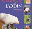 Nourrir Les Oiseaux Du Jardin Frais attirer Et Nourrir Les Oiseaux Au Jardin French Edition