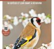 Nourrir Les Oiseaux Du Jardin Frais Calaméo Guides Oiseaux De Nos Jardins